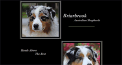 Desktop Screenshot of briarbrookaussies.com
