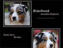 Tablet Screenshot of briarbrookaussies.com